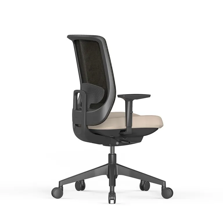 zx634 atle2Noom 50 - PP chair, 4 legs color