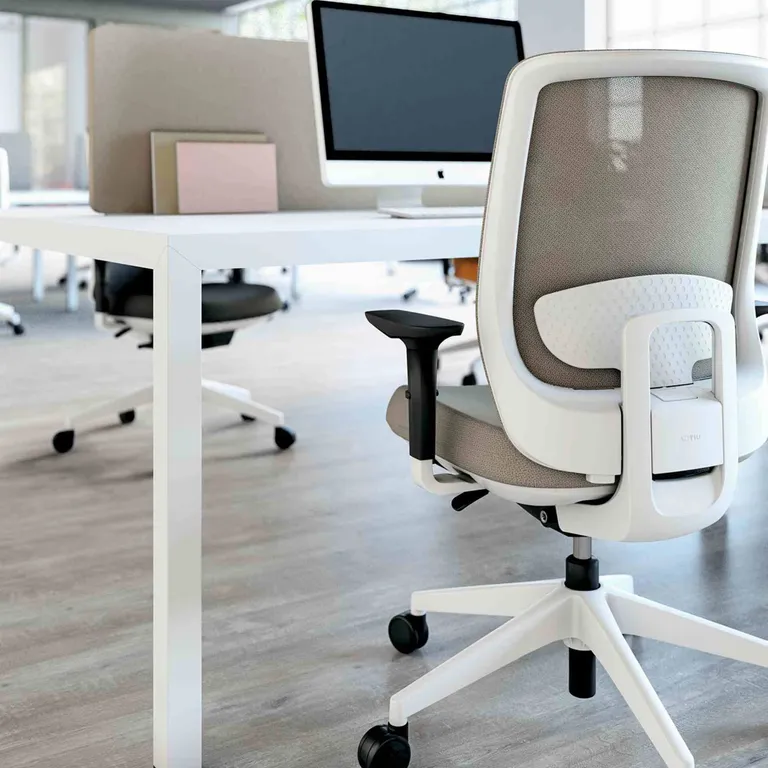 zx635 Noom 50 - polypropylene chair, 4 legs colored